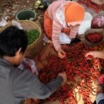 Harga Cabai Rawit Merah Melonjak ke Rp92.405 per Kg, Tekan Daya Beli Masyarakat - BengkuluTerkini.com