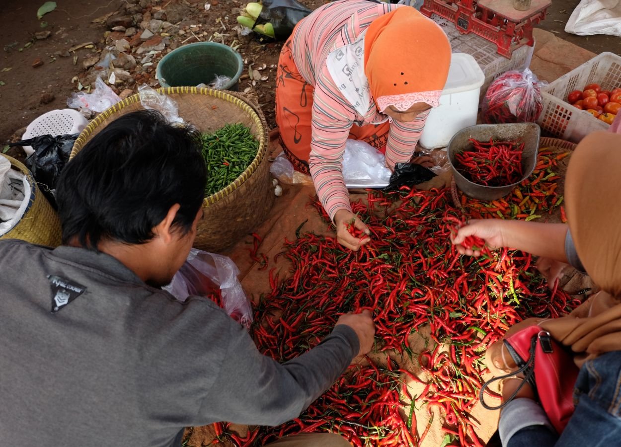 Harga Cabai Rawit Merah Melonjak ke Rp92.405 per Kg, Tekan Daya Beli Masyarakat - BengkuluTerkini.com