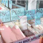 Produksi Beras Berpotensi Turun hingga Juli 2026 - BengkuluTerkini.com