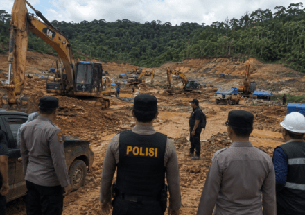 tambang emas ilegal