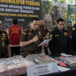 Dugaan Korupsi Kebun Binatang Surabaya Diduga Sebabkan Satwa Terlantar hingga Mati