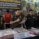Dugaan Korupsi Kebun Binatang Surabaya Diduga Sebabkan Satwa Terlantar hingga Mati