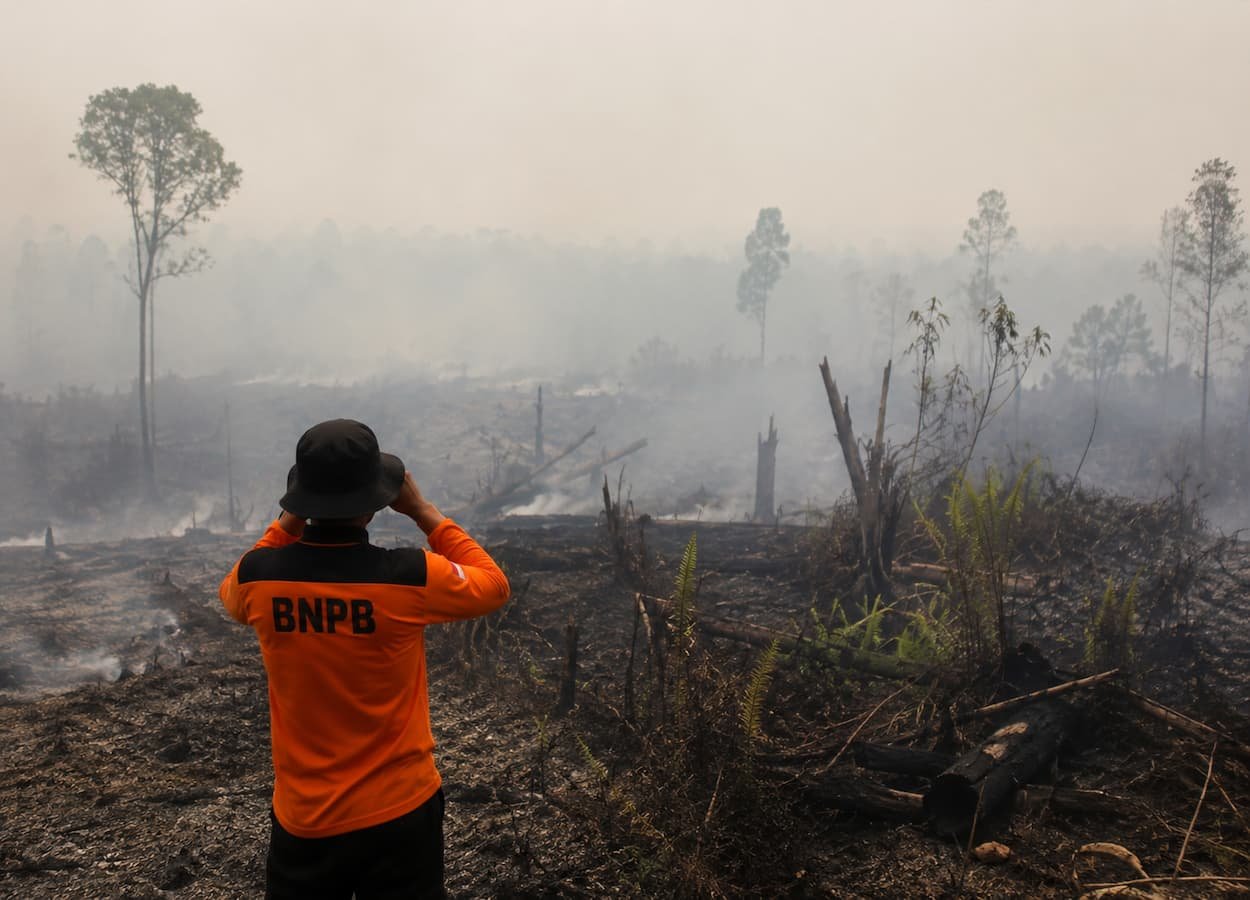 BNPB Laporkan Titik Panas Karhutla Melonjak di Kalimantan