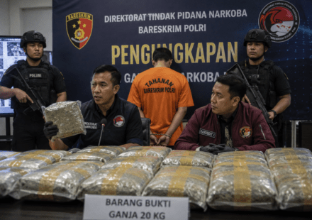 Pengiriman 20 Kg Ganja ke Kampung Bahari Digagalkan