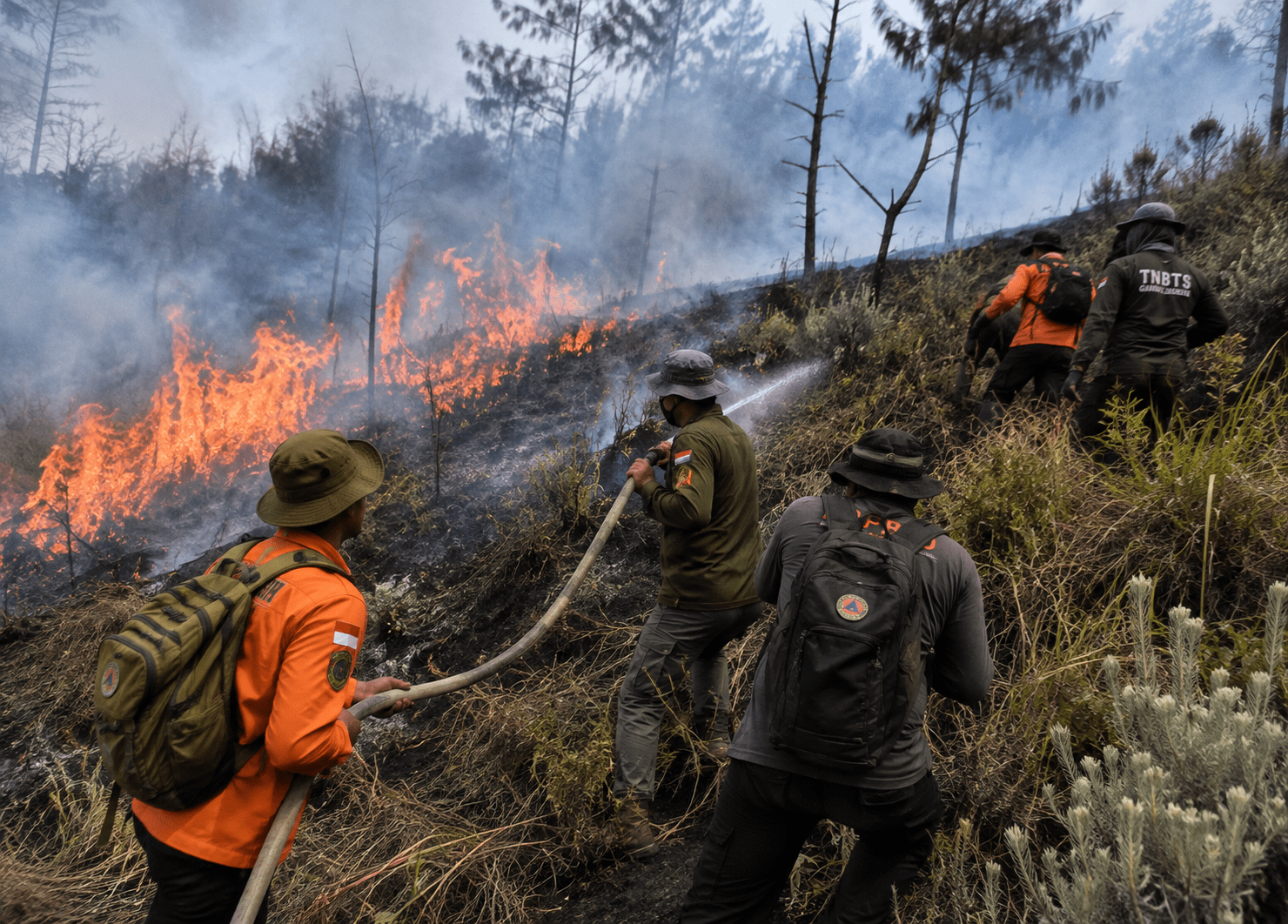 Karhutla Terjadi di Taman Nasional Bromo